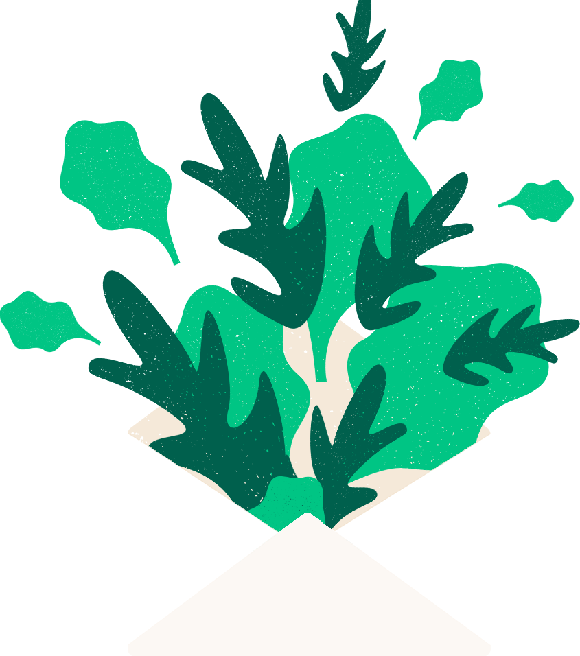 Illustration of vegetable